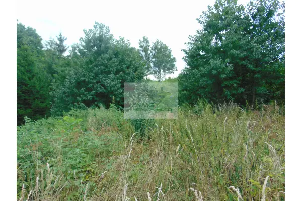 dolnośląskie, dzierżoniowski, Piława Górna, Henryka Sienkiewicza, Działka budowlana 760 m2, Piława Górna, ul. Sienkiewicza