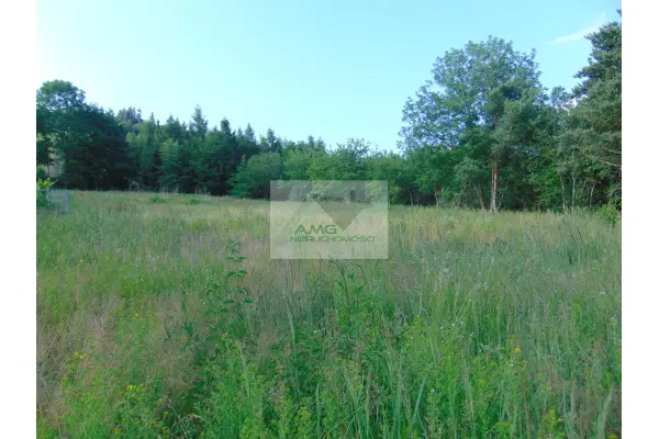 dolnośląskie, dzierżoniowski, Dzierżoniów, Kiełczyn, Uzbrojona działka budowlana 2900 m2 Kiełczyn miejscowy plan