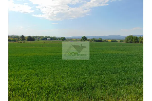 dolnośląskie, dzierżoniowski, Dzierżoniów, Kiełczyn, Atrakcyjna działka budowlana zagrodowa agroturystyka 3366 m2 Kiełczyn,  piękne widoki